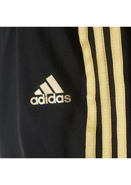 Adidas Kids Shiny Hooded Jogger Set Black/Gold Metallic CE9705